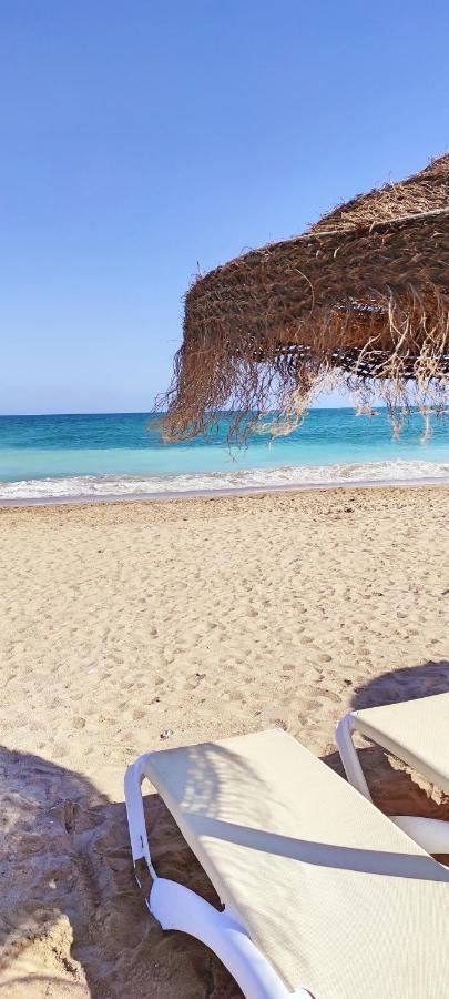 Estudios Cerca De La Playa * Vinaros